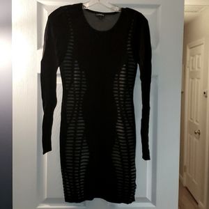 Express Sweater Dress
